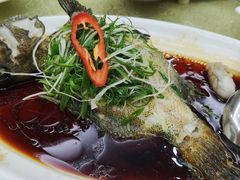 清蒸老虎斑-广胜通达海鲜食府(黄沙店)