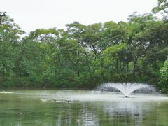 -木守西溪溪隐餐厅
