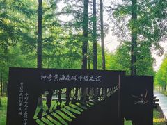 -黄海国家森林公园