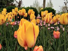 -廊坊文化艺术中心