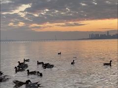 -深圳湾公园(南山区)