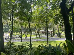 -云溪植物园