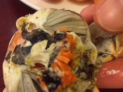 -金狮国际酒店自助餐(金狮店)