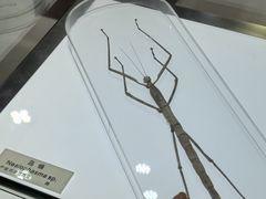 -上海昆虫博物馆