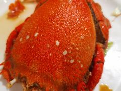 -喜庭海鲜自助(来福士店)