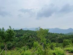 -白水寺森林公园