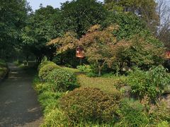 -铁山坪森林公园