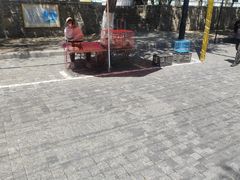 -哈尔滨道外花鸟鱼市场