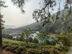 -九龙潭景区
