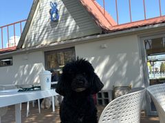 -小意思咖啡店(草桥店)