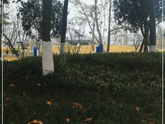 -成飞公园