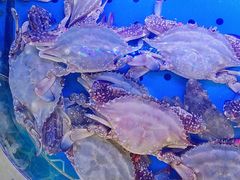 -日照大牌檔•小船海鲜(万平口店)