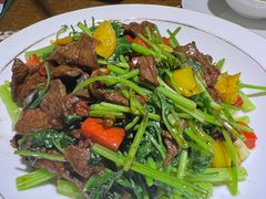 -广东道至正餐厅(区庄店)