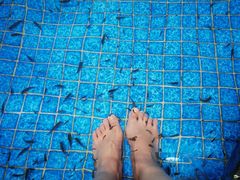 -兴芮温泉度假区