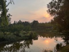 -东郊湿地公园
