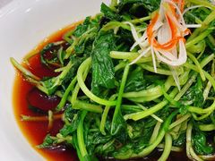 清炒鸡毛菜-峨嵋酒家(王府井店)