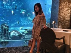 -迪拜帆船酒店海底餐厅
