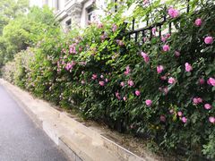 -永隆圣马可国际家居广场(江东中路店)