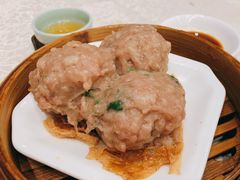 陈皮牛肉丸-顺德人家食府(黄金广场店)