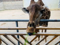 -泉州海丝野生动物世界