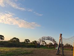 -上海都市菜园