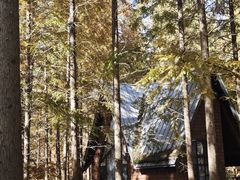 -黄海国家森林公园