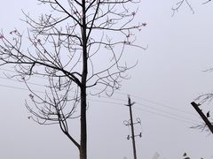 -广东花都香草世界旅游度假区