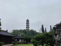 -江心屿景区
