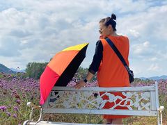 -北京东方普罗旺斯薰衣草庄园