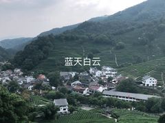 -龙井村