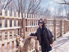 -水上乐园·欢乐世界