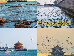 -前海沿·青岛菜(乐客城店)