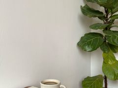 -纽巷咖啡 SOFTFOCUS COFFEE(锦和巴黎时韵店)