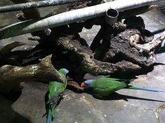 -多彩贵州城极地海洋世界