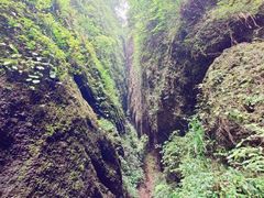 -青城山