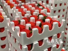 -山东师范大学(千佛山校区)