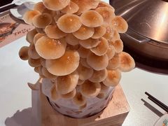 -烹然四季椰子鸡火锅(姚家园万象汇店)