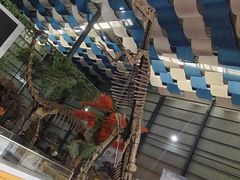 -诸城市恐龙博物馆
