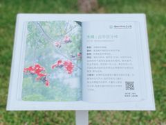 -福田红树林生态公园