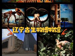 -辽宁古生物博物馆