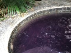 -龙达温泉生态城