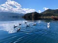 -丽江泸沽湖景区