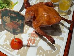 -大鸽饭(动物园店)