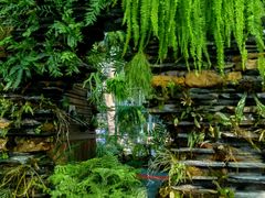 -国家植物园南园