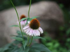 -北京金海湖景区