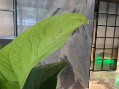-铂尔登国际酒店(南山深圳湾口岸店)