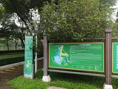-番禺大夫山森林公园