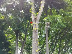 -晓港公园