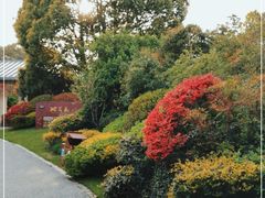 -桃花岛景观公园