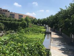 -鱼凫国都大酒店温泉